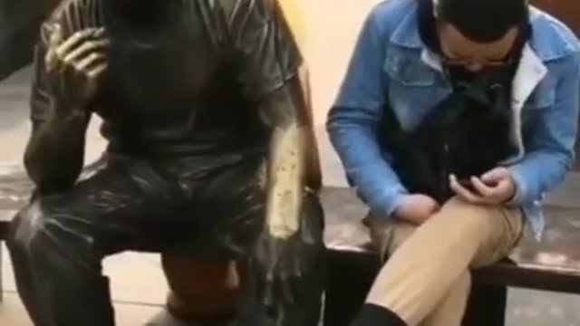Funny videos you are looking for
