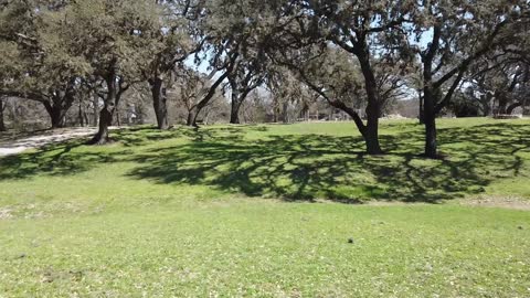 Luckenbach Texas quick visit