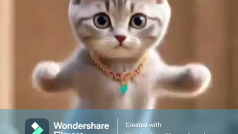 cat dancing.