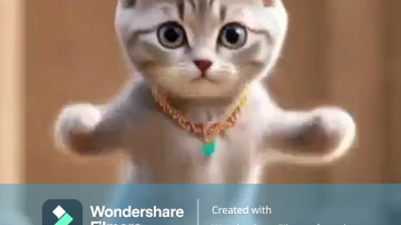 cat dancing.