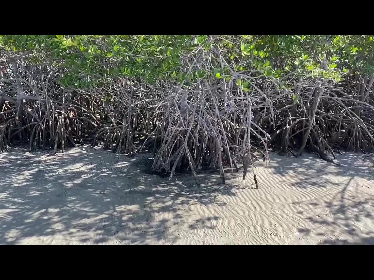 St Lucie Sandbar