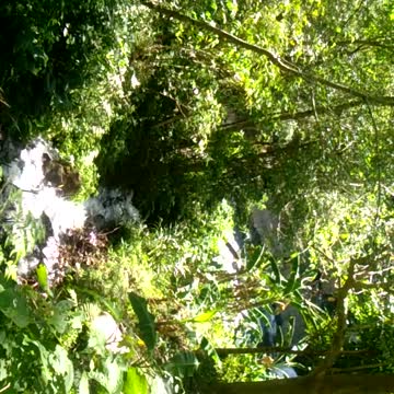 Deep Meditation under Gushing Water from a Living and Pure Fountain
