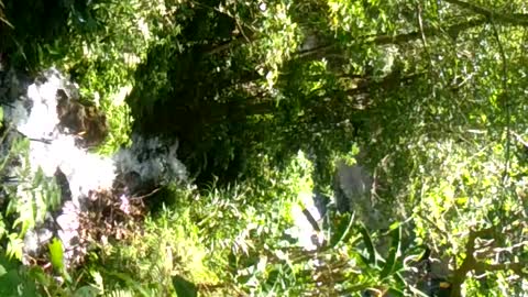 Deep Meditation under Gushing Water from a Living and Pure Fountain