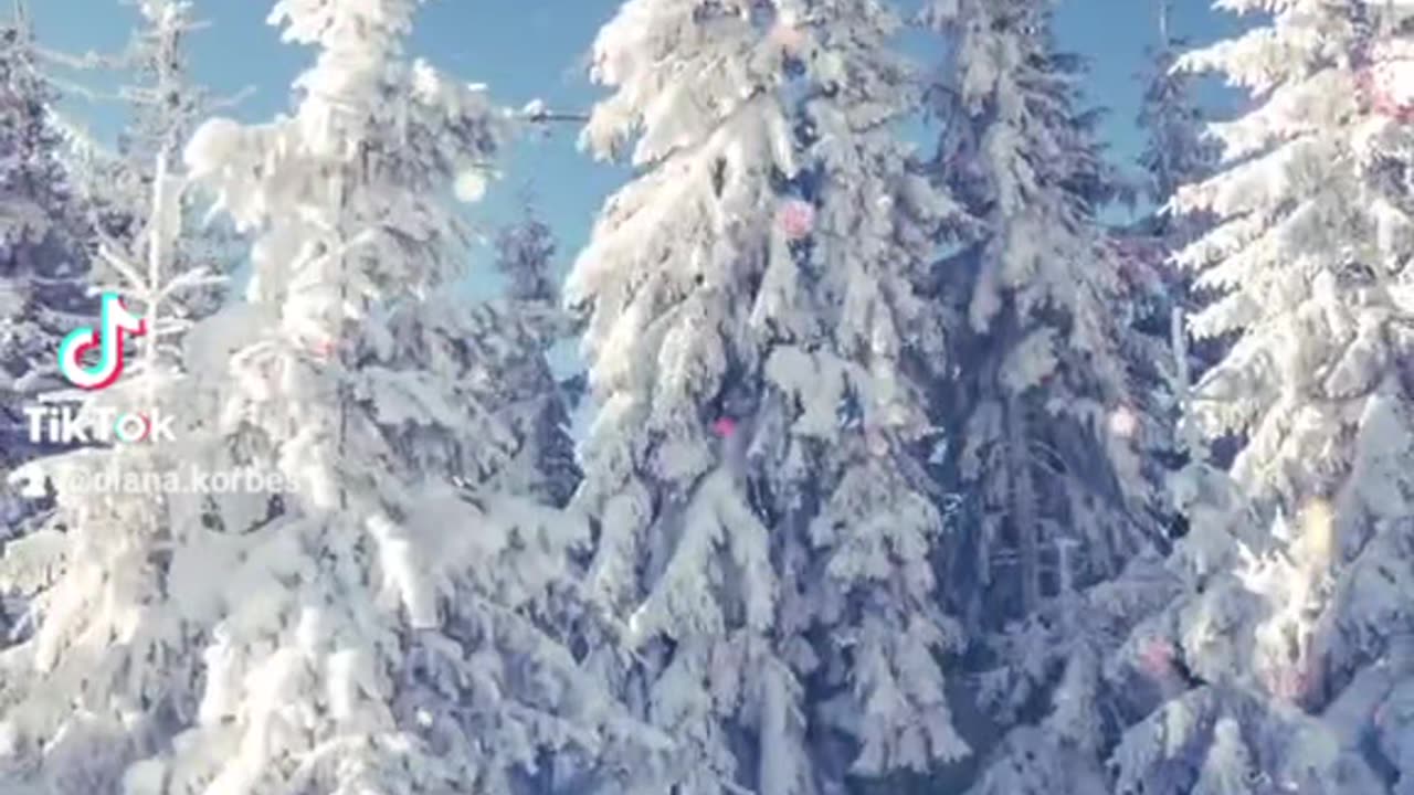 Just Nature