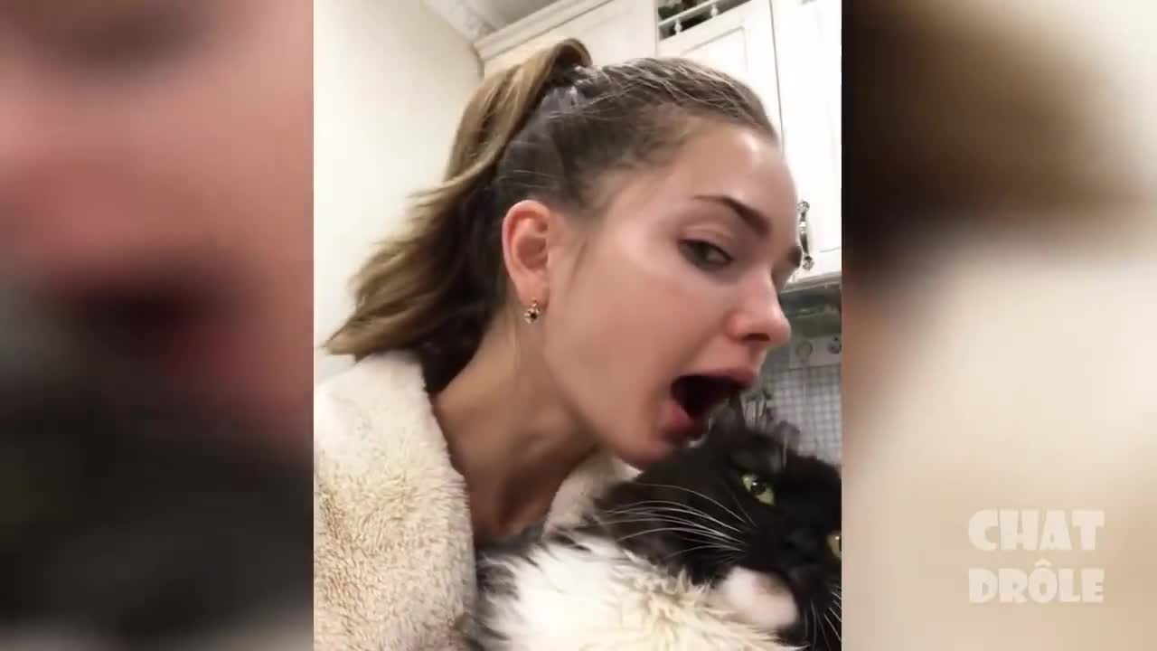 Cute Cats and Kittens Being adorable Compilation 2021
