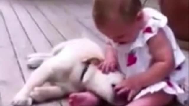 Small Baby Girl Love With Cute Doge