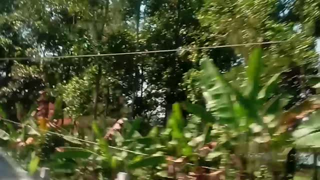Jalan jalan