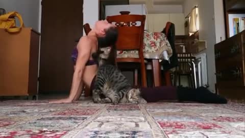 Funniest Cats 😹- Best Of The 2022 Funny Cat Videos 😂