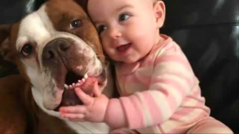 👶 and 🐶 are Best Friends