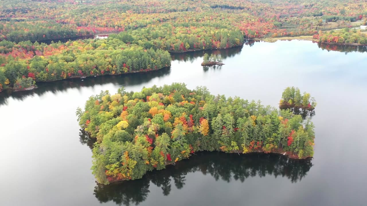 Changing Colors Of The Tree Leaves In Autumn