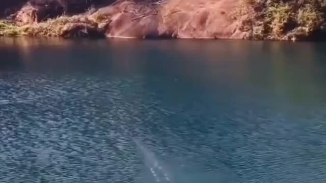 This is what i call a real fish bite 🎣
