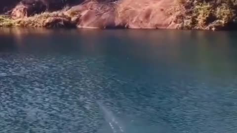 This is what i call a real fish bite 🎣