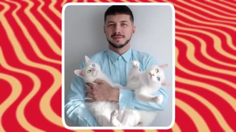 A group of unique cats
