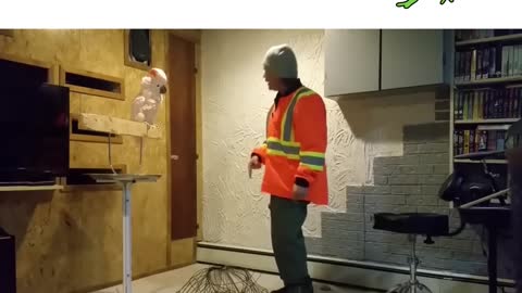 Parrot raised in the hood, you can tell from his reactions! PART 2.🤣