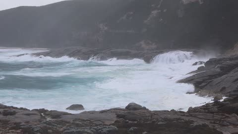 wind, swell, waves