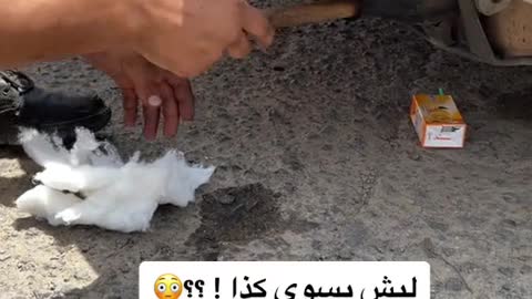 Cleaning exhaust pipe of automobile exhaust pipe