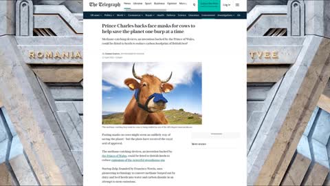 This Week In Stupid (01/05/2022)