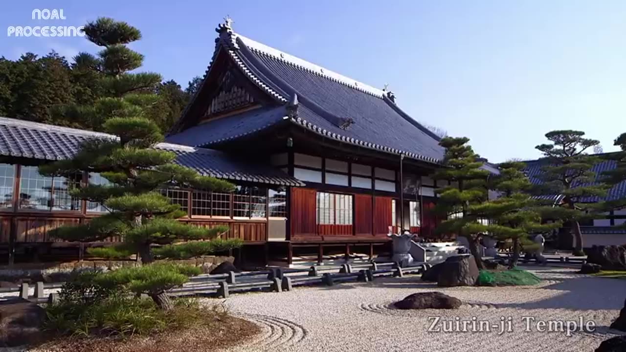 Japan Dried Persimmon Processing - Amazing Asia Agriculture Fruit Harvesting