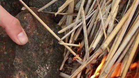 Most delicious wild-caught fish! Catch & Cook Bushcraft #shorts