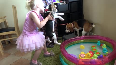 Our New Puppy First Bath Time