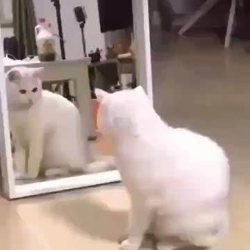 Oops that's me in the mirror!