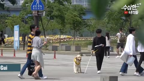 Best Korean Pranks😂 TRY NOT TO LAUGH!😂😂😂
