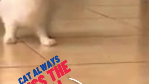 Funny Dogs Baby training Babies Video 2021