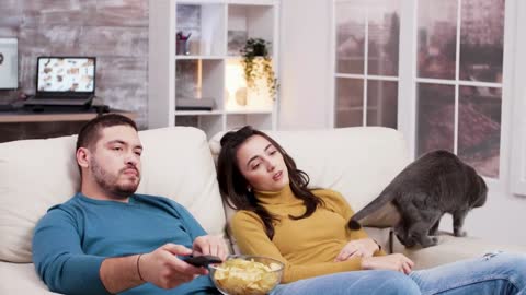 Tired man using tv remote control sitting on the couch while his girlfriend is playing with the cat