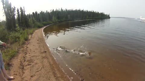 Top 5 Epic Pike Attacks