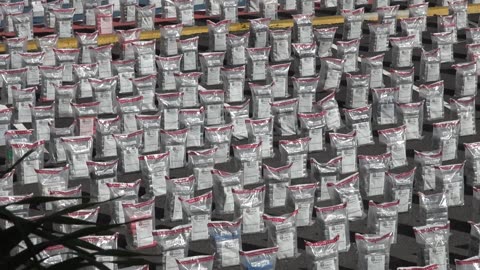 Incautan 9,5 toneladas de cocaína en Dominicana, el mayor decomiso de su historia | AFP