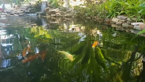 Nature to relax