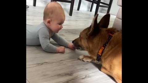 Baby and the dog 🐶😁