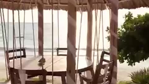Zanzibar is a Vibe (Hotels Spots) Travel beetle