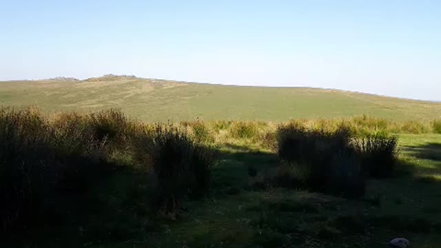 This phone is terrible for filming.