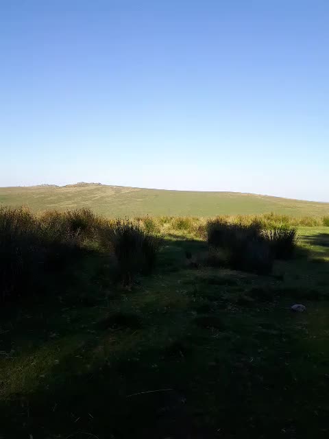 This phone is terrible for filming.