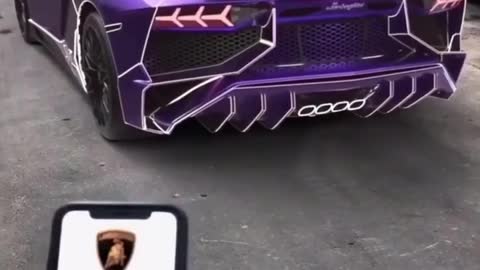 Color Changing Lamborghini 2022