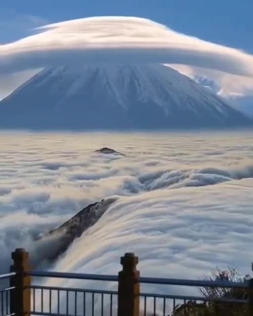 THE SUNDAY RUSH - DAILY DEVOTIONAL ❤️