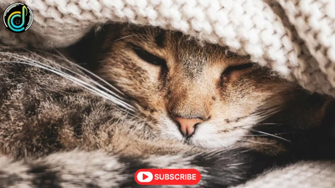 Music for Cats - Relaxing Music for Cats Stress Relief