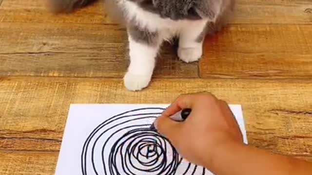Cat drawing with his mind o_O Really Funny xD