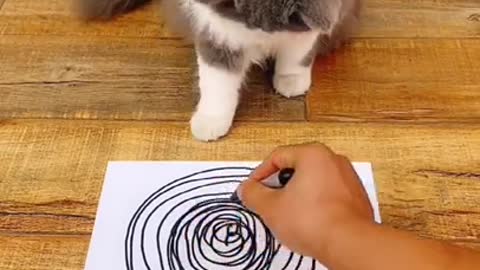 Cat drawing with his mind o_O Really Funny xD