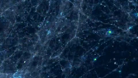 Brain Synapses In Realtime