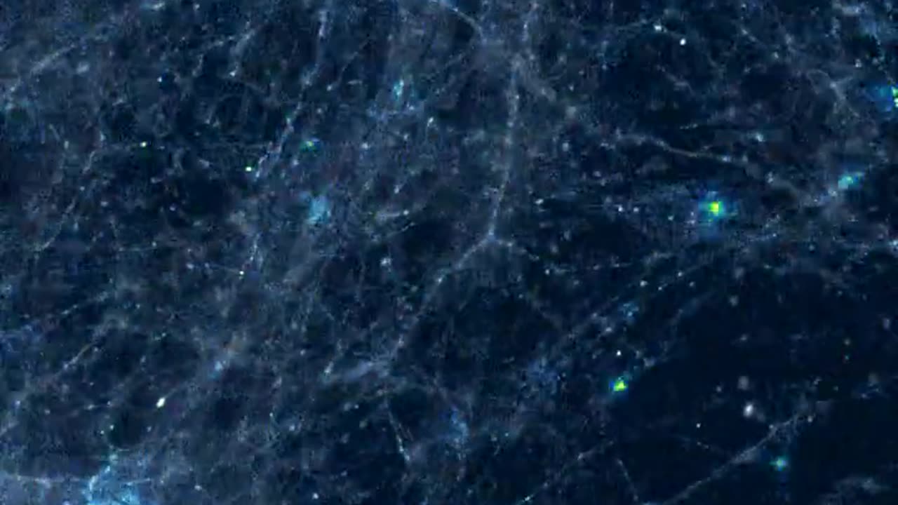 Brain Synapses In Realtime