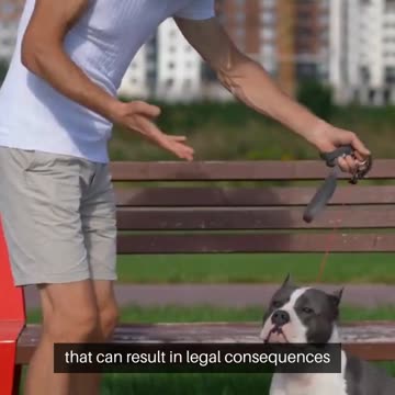 Insurance Considerations for Newly Diagnosed Individuals: Navigating Health Challenges