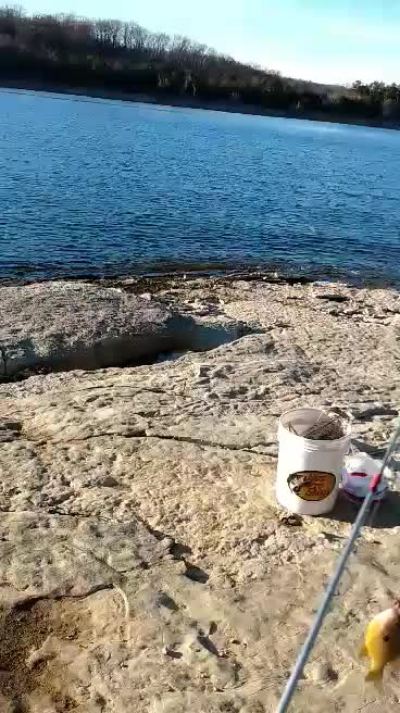 Caught A Little Sunfish