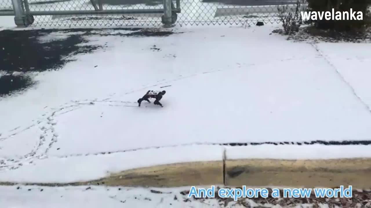 Petoi Bittle A Palm-sized Robot Dog for STEM and Fun