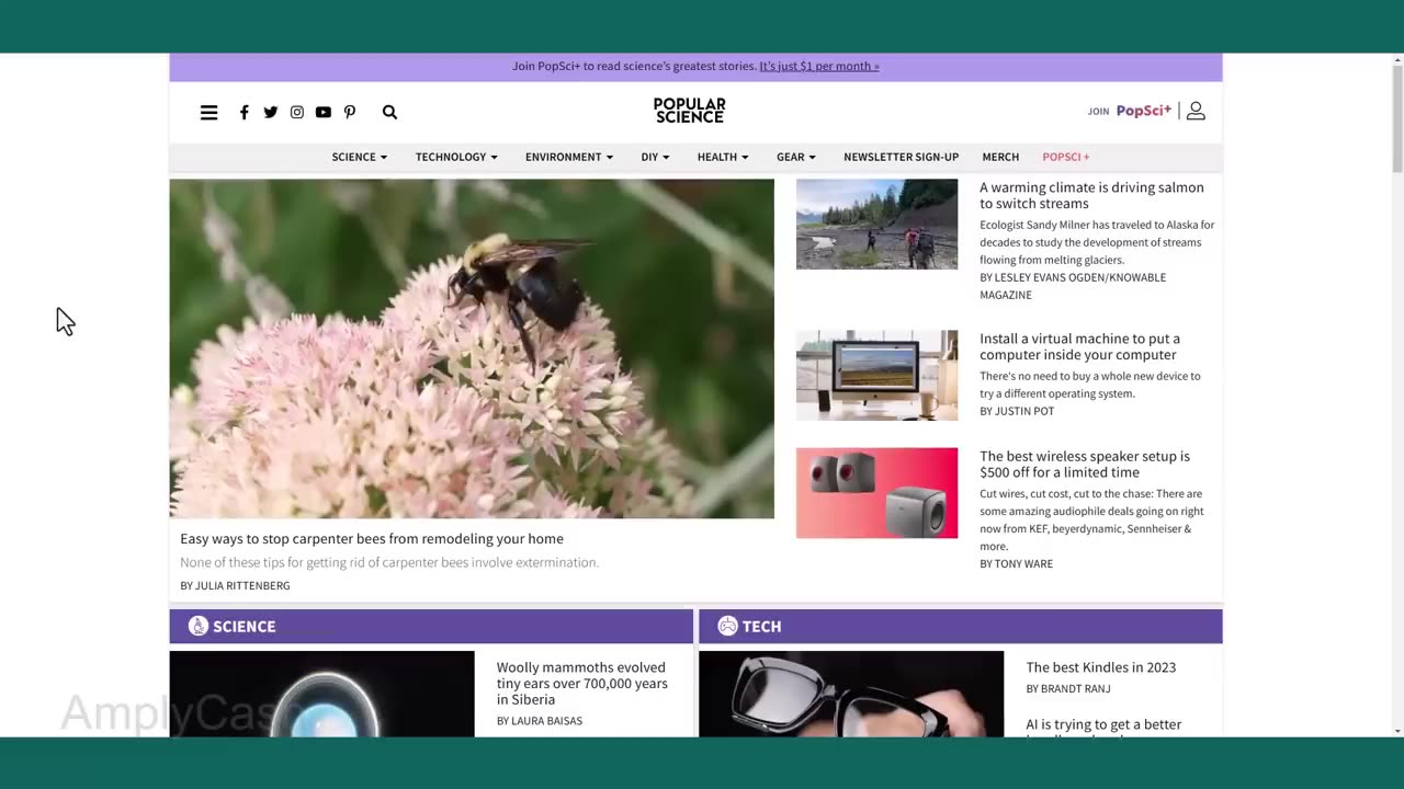 $2000 dollars a day with Google news