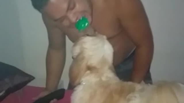 Olha a força do meu pet killer