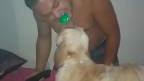 Olha a força do meu pet killer