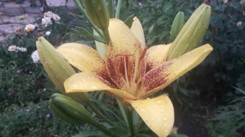Have a nice evening friends