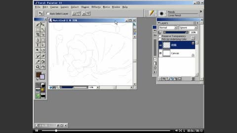 Draw The Basic Lines First